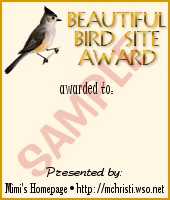 beautiful bird site award